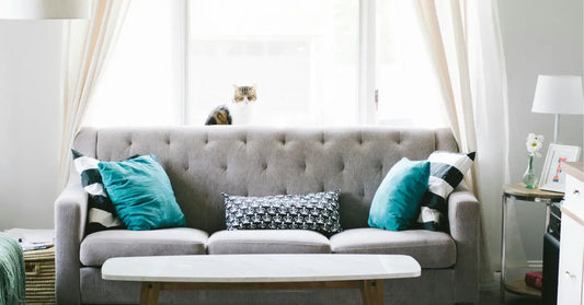 How to Choose the Best Fabric for Your Sofa: A Complete Guide