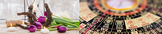 Vastu Shastra vs. Feng Shui: Which One Should You Follow for Your Home?