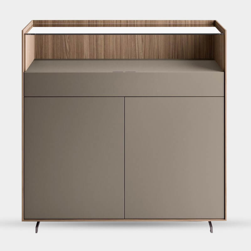 Ultra Sleek Storage Cabinet With Dual Compartments